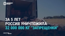 Продуктовые контрсанкции: как россиянам о них рассказывали в 2014 году